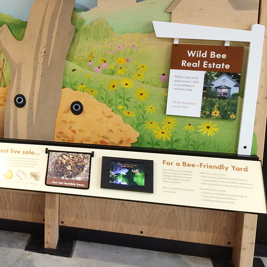 wild bee real estate exhibit